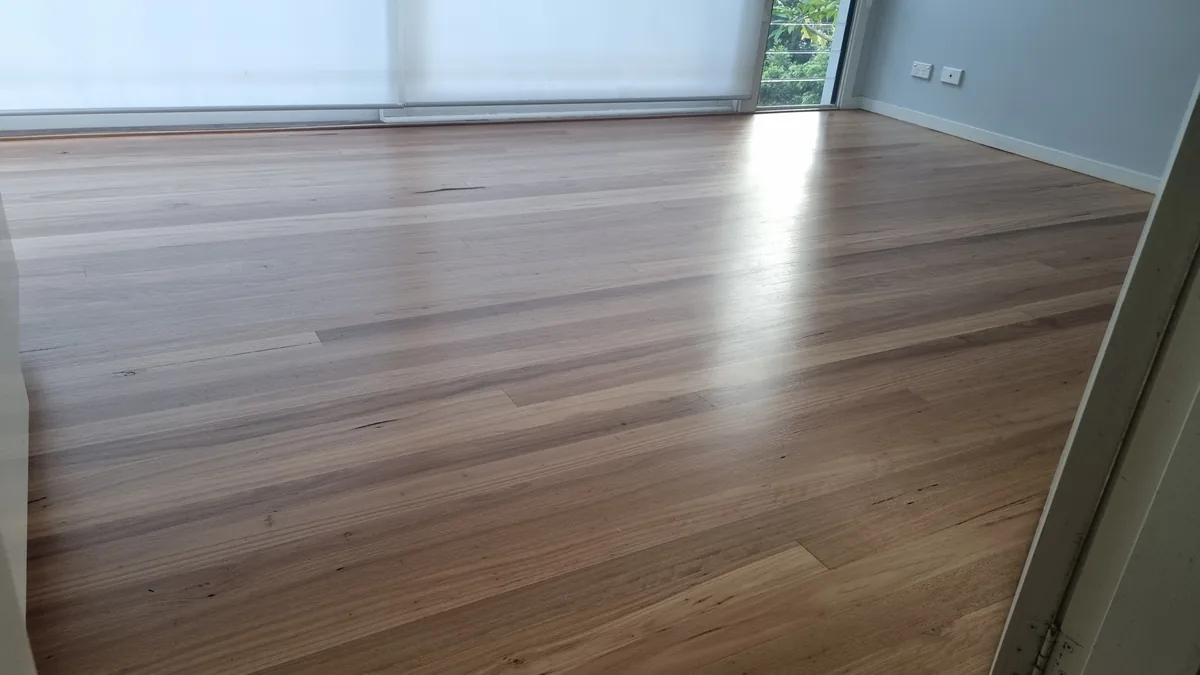 Close-up of polished spotted gum timber floor grain Newcastle